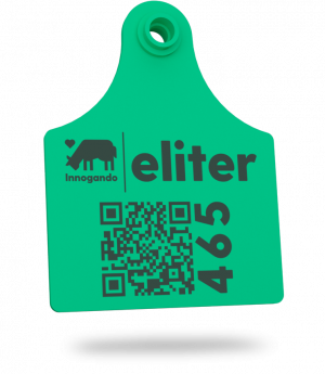 tap_innogando_eliter Crotal de Eliter, dispositivo para el control de calidad de los ternerjos desde las granjas de vacas al comprador final