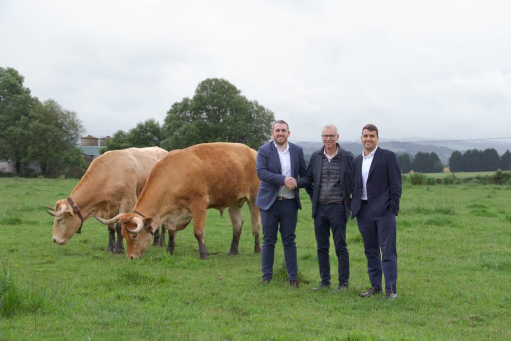 Ejecutivos compartiendo felices con vacas al lado