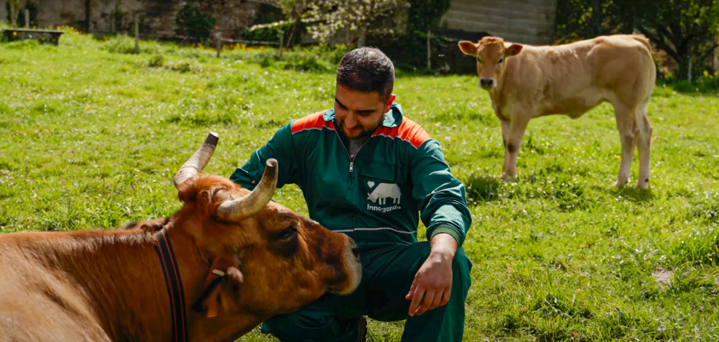 Livestock breeder creating welfare