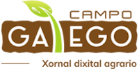CAMPO GALEGO
