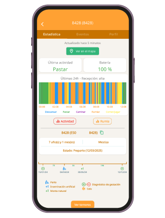 Rumi app en móvil