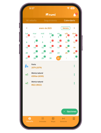 Rumi app en móvil