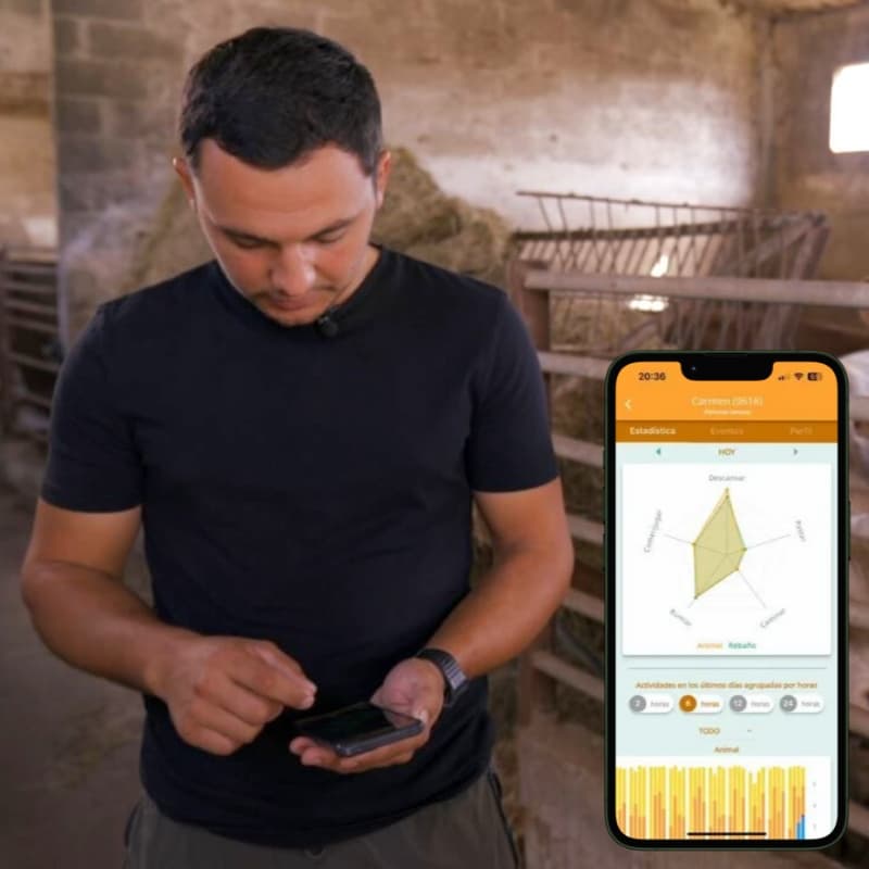 Persona utilizando la app