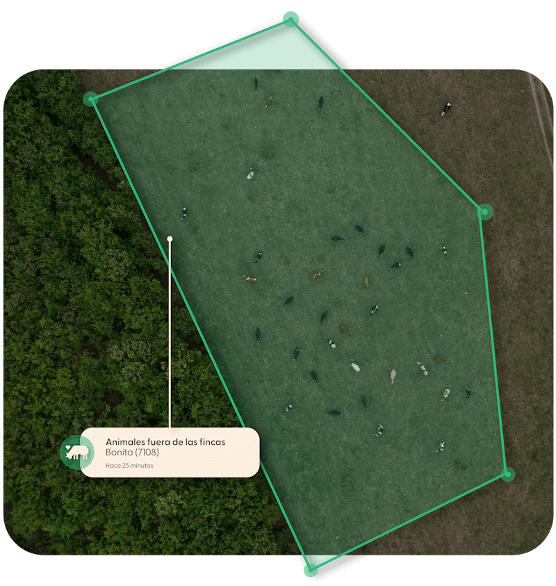 Geofencing