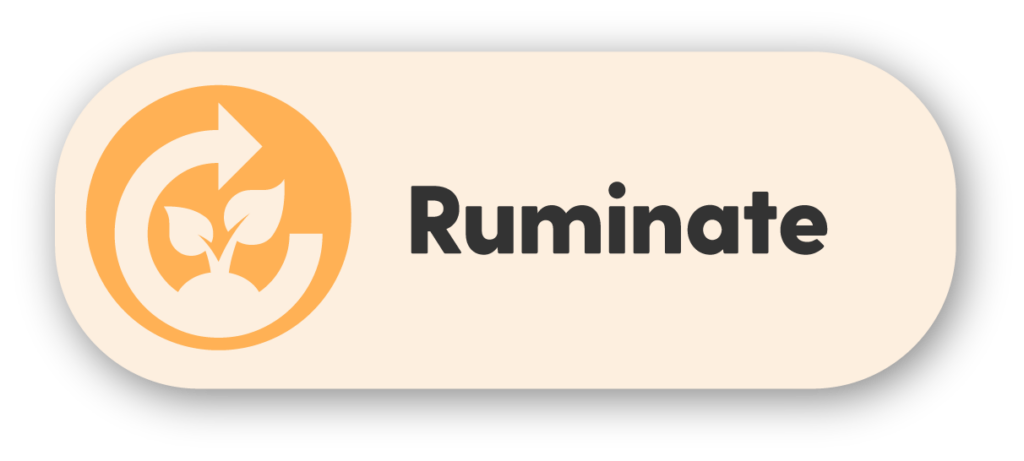 Ruminate
